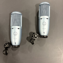 Dva stříbřité kondenzátorové mikrofony s mřížkou v horní části a černým držákem u základny. Na obou je viditelné logo AKG a nápis PERCEPTION 120. Mik…