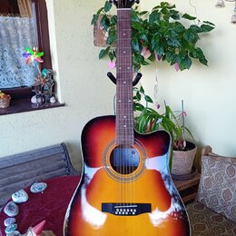 Akustická kytara s cutawayem v červeno-žlutém sunburst provedení. Na hlavě je viditelné modré logo s ptačím motivem. Hриф má tmavý dřevěný povrch a b…