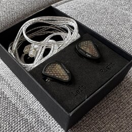 V černé krabičce s pěnovou vložkou jsou umístěny dva černý sluchátka in-ear a k nim příslušný stříbrný opletený kabel. Na sluchátkách jsou viditelné…