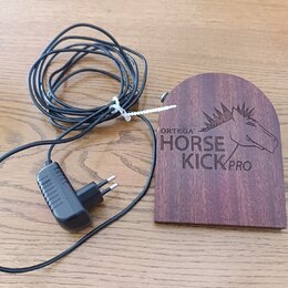 Na fotografii je dřevěný předmět s vyrytým logem koně a nápisy ORTEGA HORSE KICK PRO. Vedle něj leží černý napájecí kabel s plastovou zásuvkou typu C…