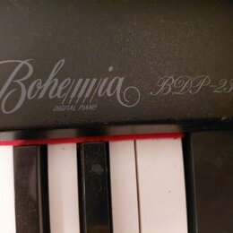 Detailní záběr na černý digitální klavír. Na povrchu je bílým nápisem uveden název Bohemia, pod kterým je menším písmem DIGITAL PIANO a vedle modelu…