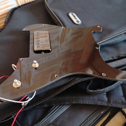 Černý plastový pickguard pro elektrickou kytaru s jedním humbuckerem. Na snímači je viditelný nápis SEIBER. Pickguard obsahuje dva kovové potenciomet…