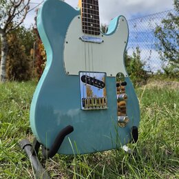 Světle modrá elektrická kytara typu Telecaster s bílým pickguardem a hnedým hmatníkem. Nástroj je umístěn na černém stojanu v trávě. Na kytare nejsou…