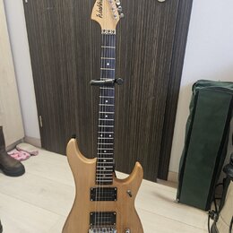 Elektrická kytara s přírodním dřevěným povrchem těla a hmatníkem z tmavého dřeva. Na hlavě je viditelné logo Washburn. Nástroj má konfiguraci snímačů…