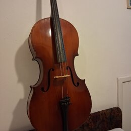 Hnědý smyčkový nástroj, pravděpodobně violoncello, s lakovaným dřevěným povrchem. Nástroj má čtyři struny a černé hmatníky a kolky. Na fotce nejsou v…