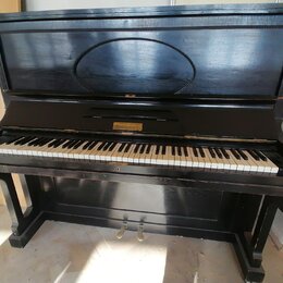 Černý piano (pianino) s otevřenou horní deskou, která obsahuje oválný reliéfní ornament. Nad klávesnicí je umístěno zlaté logo s nápisem "Bechstein".…
