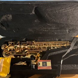 Zlatý saxofon v černém kufru. Vedle nástroje jsou položeny žlutý látkový sáček s dvěma rýdy a krabička rýd s logem „G“ a nápisem „GENUINE“. Na krabič…