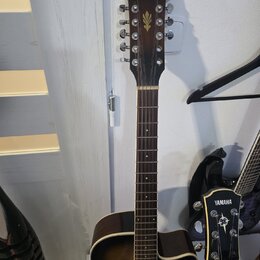 Hnědá akustická kytara s 12 strunami. Na hlavě je zlatý nápis Ibanez a pod ním zlatý symbol šipky. Kytara má tmavý hnědý povrch s výrazným lemováním…