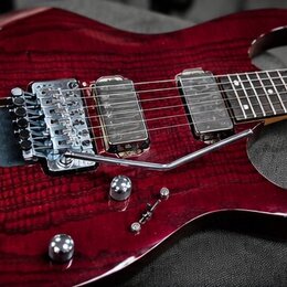 Elektrokytara s tmavě červeným lakem a viditelnou strukturou dřeva. Nástroj má dva humbuckery, chromovaný tremolo systém a dva ovládací knofíky. Na t…