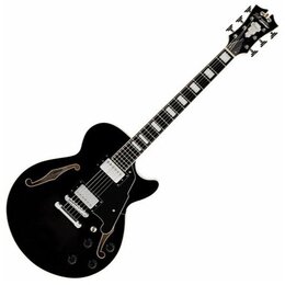 Černá polodublová elektrická kytara s dvěma f-otvory a bílými blokovými vložkami na hmatníku. Na hlavě je viditelné logo Epiphone. Nástroj má dva hum…