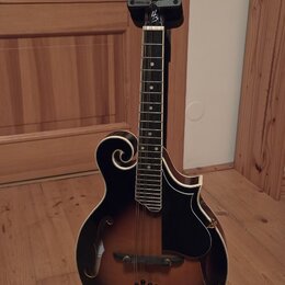 Kytara s polodubnovým tělem v tmavě hnědém sunburst provedení, umístěná na černém stojanu. Na hlavě je bílý nápis Harley Benton a dekorativní bílý or…