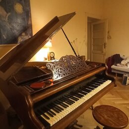 Hnědé dřevěné piano s otevřeným víkem a ozdobným vyřezávaným mřížkovým prvkem nad klávesnicí. Na černé části těla je zlatý nápis "KNUT SONICK". K nás…