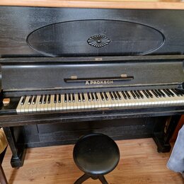Černý piano v dřevěném provedení s ozdobným reliéfem ve tvaru rozety na horní části. Na přihradce nad klávesami je zlatý nápis A.PROKSCH. K pianu pat…