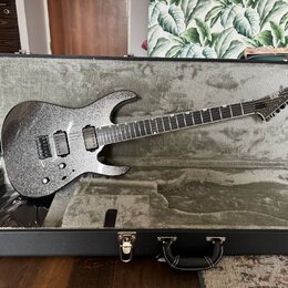 Elektrická kytara s tmavým, třpytivým povrchem v černém tvrdém kufru. Na hlavě kytary je viditelné logo ESP. Nástroj má dva humbuckery, jeden tónový…