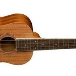 Akustické ukulele s dřevěným povrchem a vyřezem v těle. Na hlavě je viditelné logo "Aloha" a červený symbol ve tvarce P v kruhu. Nástroj má hnědý ods…