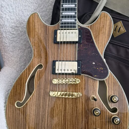 Polodupatá elektrická kytara s přírodním dřevěným povrchem a f-otvory. Nástroj má dva humbuckery, zlatý most a zlaté ovládací knoflíky. Na kytaru je…