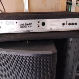 Zadní strana zesilovače s nápisem MODEL BASSMAN 250 a logem FENDER MUSICAL INSTRUMENTS CORP. V horní části jsou konektory pro Parallel Speaker Out, H…