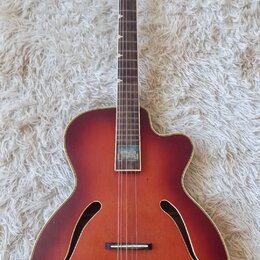 Kytara s polodubnovým tělem v červenohnědém sunburst provedení. Na hmatníku je viditelný světlý nápis, který není čitelně rozlučitelný. Nástroj vykaz…
