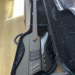 Šedá elektrická basová kytara s tmavým hnedým hmatníkem, umístěná v černém tvrdém kufru. Na těle jsou dva humbuckery a tři ovládací knoflíky. Na hlav…