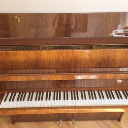 Hnědé dřevěné piano s lakovaným povrchem. Na čelní straně nad klávesami je zlatý nápis PETROF. V otevřeném horním víku jsou vidět struny a v pravé čá…