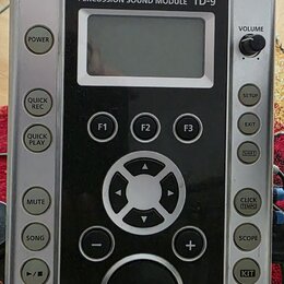 Stříbrný perkusní modul značky Roland s černým předním panelem. Na horní části je nápis PERCUSSION SOUND MODULE TD-9 a v dolní části logo V-Drums. Mo…