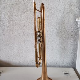 Zlatavá truba s třemi ventily a stříbrným mouthpiecem. Na povrchu zvonu je vyryté nečitelné logo a nápis. Nástroj vykazuje známky používání v podobě…
