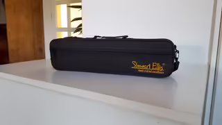 Stř&iacute;brn&aacute; pr&iacute;čna fl&eacute;tna