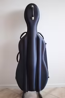 Pevn&eacute; pouzdro na Violoncello