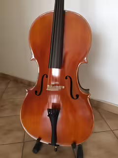 Violoncello