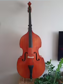  Celomas&iacute;vn&iacute; česk&yacute; 3/4 kontrabas, sn&iacute;mač, obal 