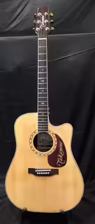 Takamine EF360SC  Japan  + original kufr r.v. 1997