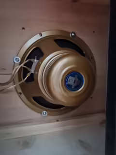 Celestion Gold 10"