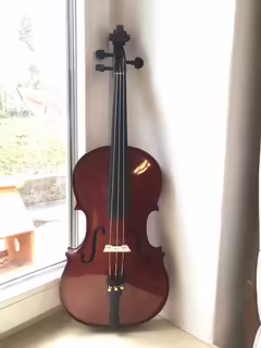 Tř&iacute;strunn&aacute; transylv&aacute;nsk&aacute; viola