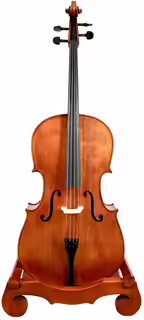 Mistrovsk&eacute; violoncello model Gagliano
