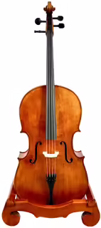 Mistrovsk&eacute; violoncello model Montagnana 