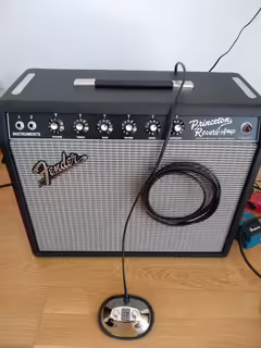 Fender Princeton Reverb