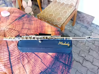 Př&iacute;čn&aacute; fl&eacute;tna 