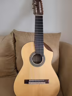 Alto Guitar