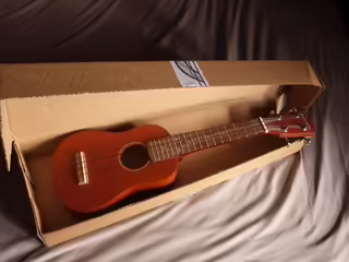 Prod&aacute;m sopr&aacute;nov&eacute; ukulele TENSON