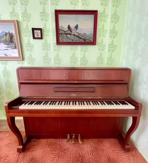 Prod&aacute;m Pianino R&ouml;sler