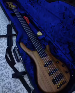 Mayones BE5 fretless