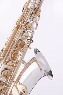 Pronajmu saxofon sopran, alt, tenor, baryton .