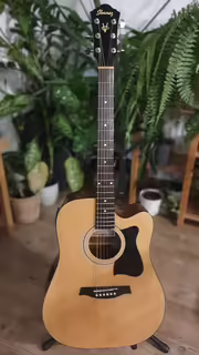 Elektroakustika Ibanez