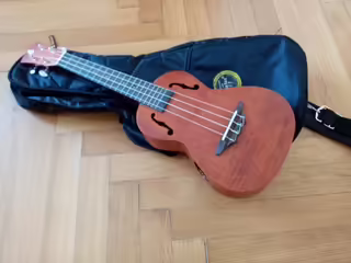 Koncertn&iacute; ukulele s obalem