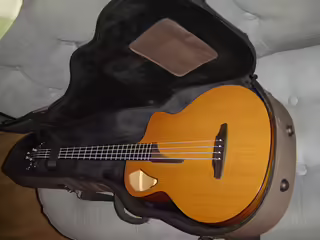Baskytara Furch Bc 61-CM 4
