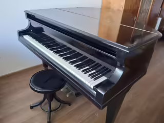 Prod&aacute;m piano / kř&iacute;dlo Rous &ndash; 10 000 Kč