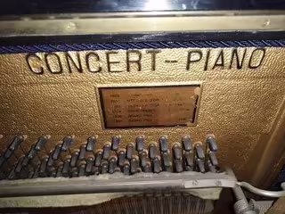 Prod&aacute;m koncertn&iacute; piano