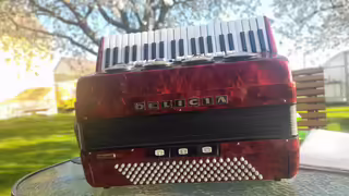 Prod&aacute;m akordeon Delicia Choral