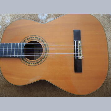 Starší kytara Kingston C-70