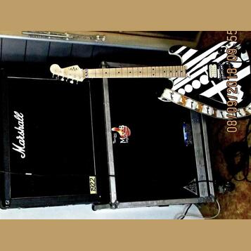 MARSHALL 2×12 i s přepravmím casem 13.000kč